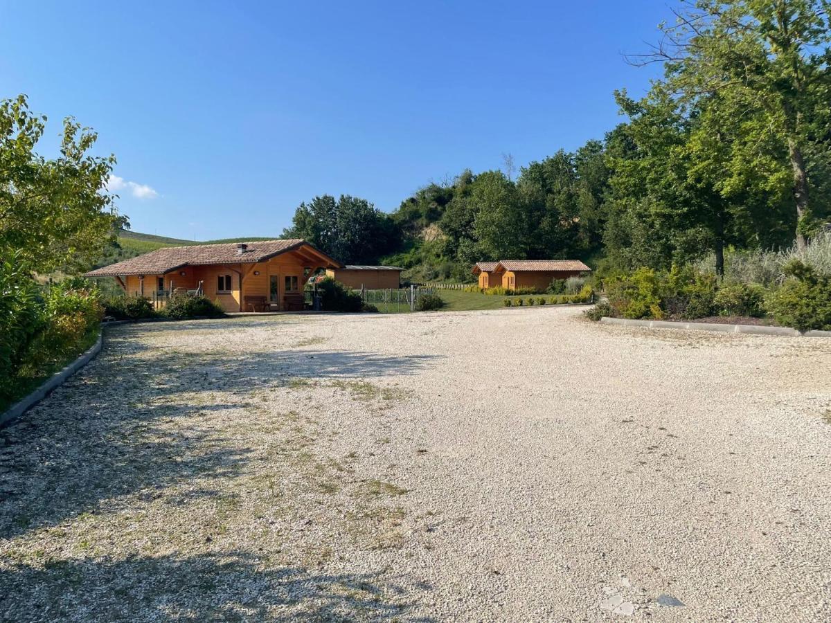 Ferienwohnung Colleolivi Serra deʼ Conti Exterior foto
